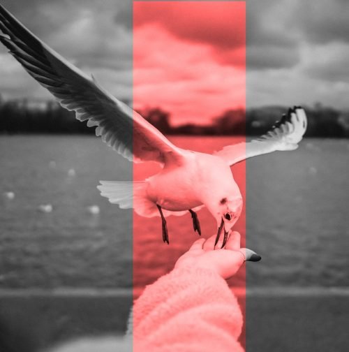 imagen_entrada3 copia